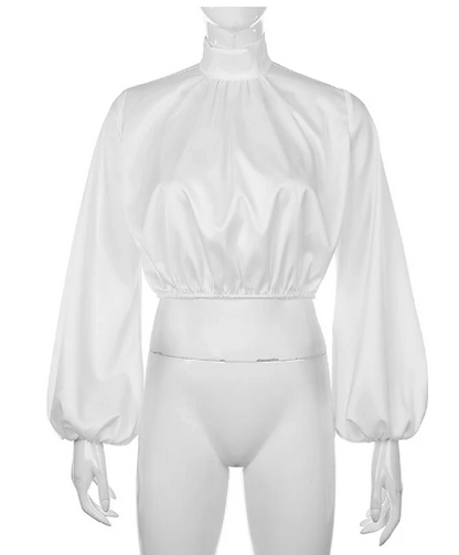 Chic Satin High-Neck Blouse – Elegant Women’s Fashion Shirt